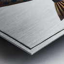 Long File-Fish Balistes maculatus Metal print