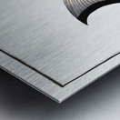 Rhomboidal Salmon Salmo rhombeus Metal print