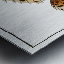 American Toad-Fish Lophius Histrio Metal print