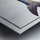 Sea-Pike Esox Sphyraena Metal print