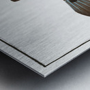 Turret-Porter Ostracion Turritus Metal print