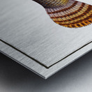 Pike of Malabar Esox malabaricus Metal print