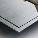 Charr Salmo Alpinus Metal print