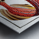 Trumpet Fistularia chinensis Metal print