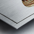 Smaller Flying-Fish Trigla Carolina Metal print