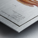 1. Green-fin Lutianus Virescens 2. Snouted Lutian Lutianus Rcstratus Metal print