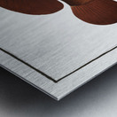 Africain Wall-eye Epinephelus Afer Metal print