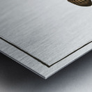 Gottus gruniens Metal print