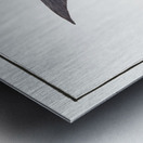 Gray Stromate Stromateus cinereus Metal print