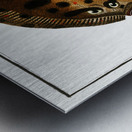 Whiff Pleuronectes punctatus Metal print