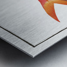 Gold-tailed Gilt-head Sparus Chrysurus Metal print