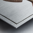 Perch Perca Fluviatilis Metal print