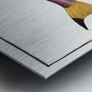 Bimaculated Silure Silurus bimaculatus Metal print