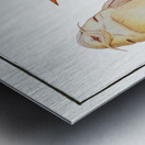 Guacari Loricaria plecostomus Metal print