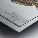 1. Lutjanus Hasta 2. Holocentrus bengalensis Impression metal