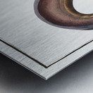 Electric-Eel Gymnotus Electricus Impression metal