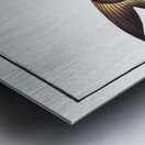 Silver-Silure Silurus Herzbergii Metal print