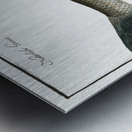 Dobula Cyprinus Dobula Metal print