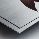 Fringed Carp Cymbrinus fimbriatus Metal print