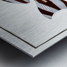 Warna Anthias Diagramma Metal print