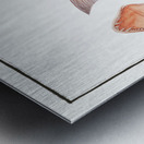 Sea-Rough Sparus Dentex Metal print