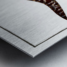 1. Chain-Fish Gymnothorax catenatus 2. Silver-Lamprey Petromyzon agrenteus Metal print