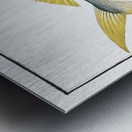 Carangoe Scomber Carangus Metal print