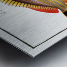 1. Pacu Perca unimaculata 2. Jub Perca Juba Metal print