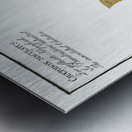 1. Sail Acanthurus Velifer 2. Maculated Chetodon Chaetodon maculatus Metal print