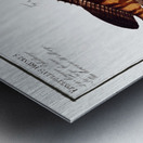 1. Bordered Wall-eye Epinephelus marginalis 2. Brown Wall-eye Epinephelus bruneus Metal print