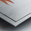 Gold-Fish Cyprinus Auratus Metal print