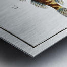 1. Cylindric Umber Sciaena cylindrica 2. Spotted Umber Sciaena maculata Metal print