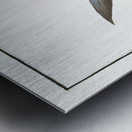 Middle-Pinned Flying-Fish Exocoetus Mesogaster Metal print