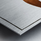 Bearded Lancet-tail Lonchurus barbatus Metal print