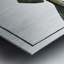 Cod Fish Gadus Morhua Metal print