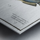 1. Chaetodon bimaculatus 2. Chaetodon biaculeatus Metal print