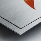 Toothless Salmon Salmo edentulus Metal print