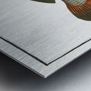 Aney Johnius Aneus Metal print