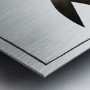 Negro-Mackrel Scomber niger Metal print