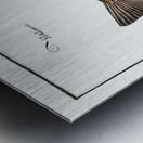 Dab Pleuronectes Limanda Metal print