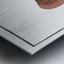 Balstes aculeatus Metal print