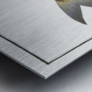 Herring of Malabar Clupea malabarica Metal print