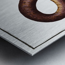 Marble Synbrant Synbranchus marmoratus Metal print