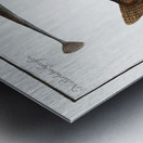 1. Fifteen-Spined Stickleback Gasterosteus Spinachia 2. Ruffe Perca Cernua 3. Stickleback Gasterosteus Aculeatus 4. lesser Stickleback Gasterosteus Pungitius Metal print