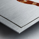 Netting Bare-Breast Gymnothorax reticulatus Metal print