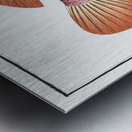 Negro-fish Perca punctata Metal print