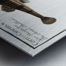 1. 2. River Bullhead Cottus Gobio 3. 4. Armed Bullhead Cottus Cataphractus Metal print