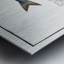 1. Dace Cyprinus Leuciscus 2. Spirling Cyprinus Aphya 3. Hatchet-Belly Gasteropelecus Metal print