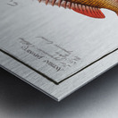 1. Double string Anthias bilineatus 2. Japanese Grunt Anthias japonicus Metal print