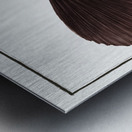 Smooth old Wife Balistes laevis Metal print